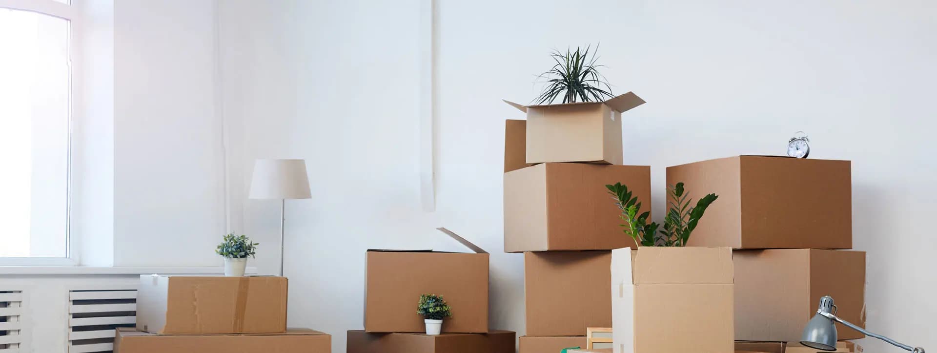 Platzmacher Hintergrundbild im Hero Entruempelungsteam beim Ausraeumen eines Haushalts.